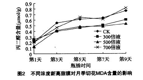 圖片3.png 圖片3.png