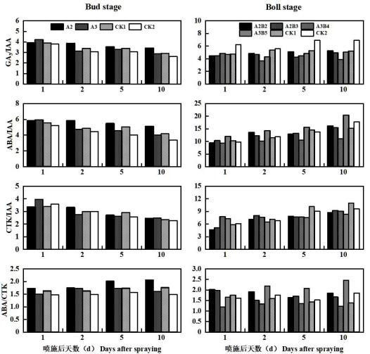 圖片13.png 圖片13.png
